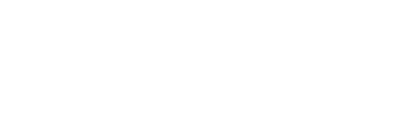 Executive Platforms