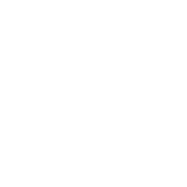 Web-icon-02